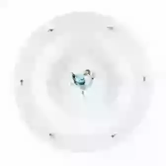 Pasta Bowl